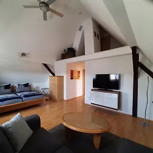 Binder's Ferienapartments Zur Altmuehl Appartement